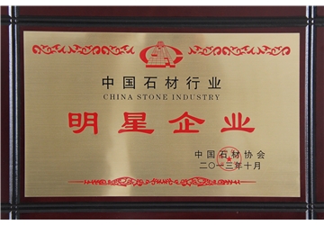 明星企（qǐ）業